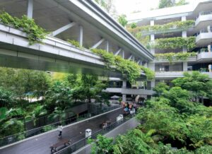 Biophilic Design for Hospital