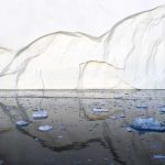 Climate Change and Health: A lunchtime chat with Dr. Joan Schiller [FREE Webinar]