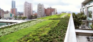 Green Roofs