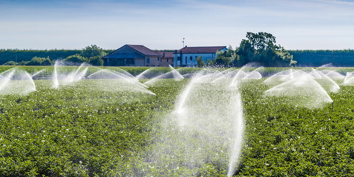 6 Ways to Green Your Home: Irrigation