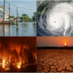 Climate Change: Not My Problem (But Whose Is It?)