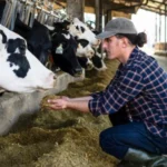 Could Cultivated Meat Aid Our Climate Change Issue? Why The New Industry Has Experts Saying ‘Holy Cow’