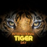 International Tiger Day: An Attempt To Save The Majestic Big Cats!